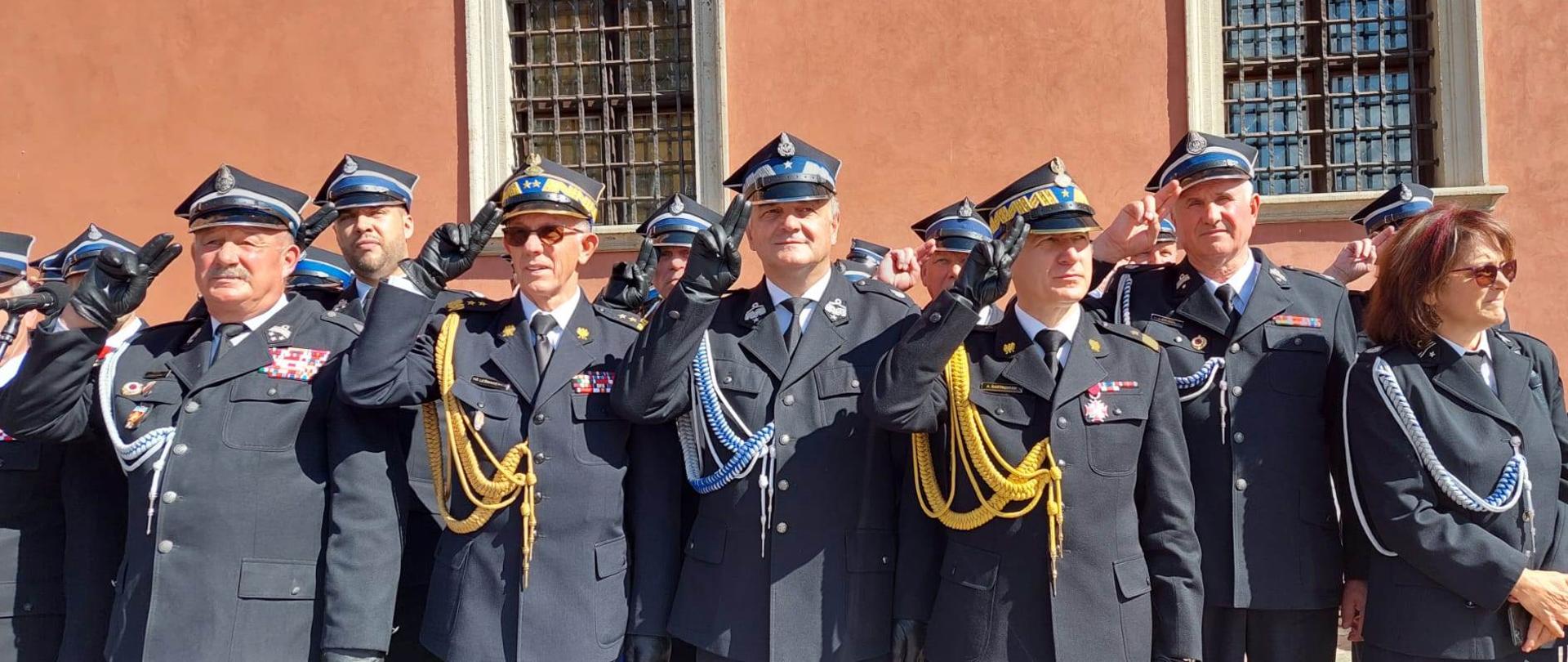 Druhowie OSP i Komendant Główny PSP podczas obchodów na Placu Zamkowym