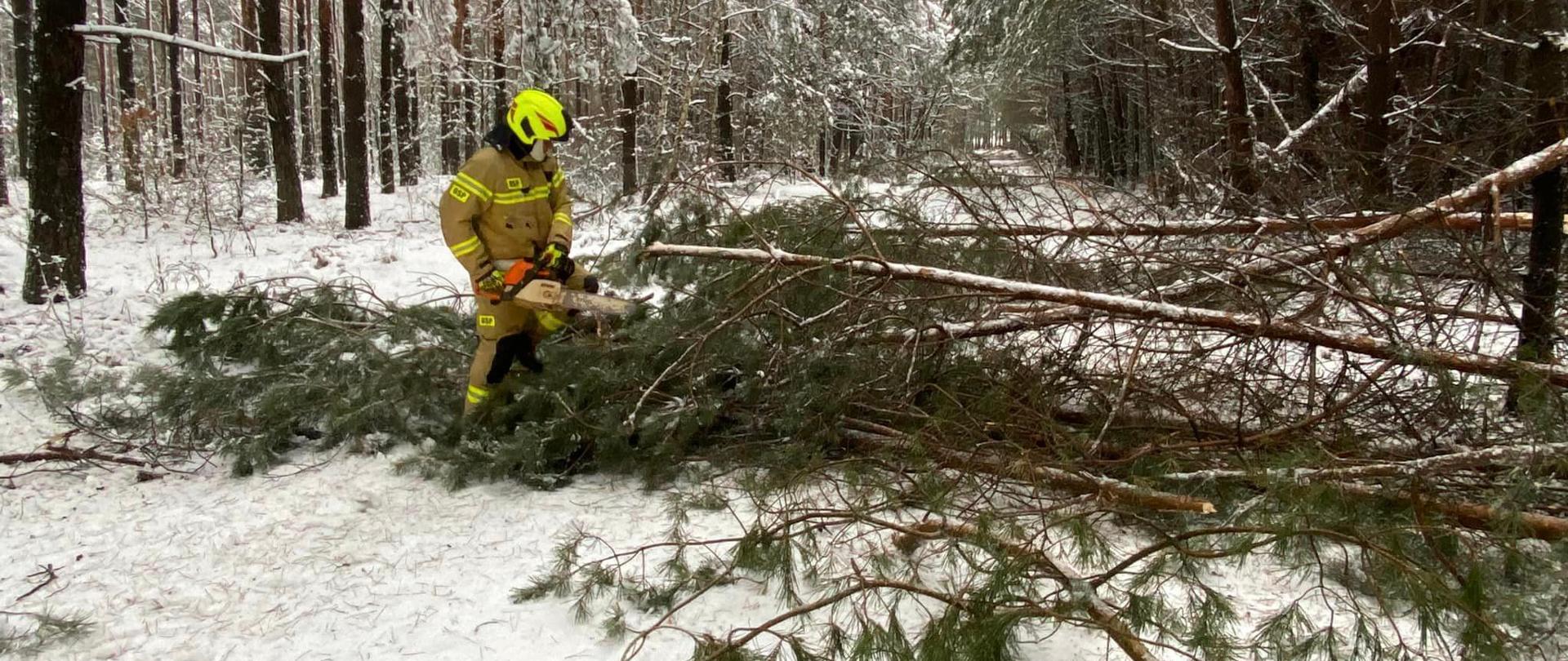 strażak usuwający drzewo z drogi, w tle las