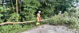 Strażacy w ubraniach bojowych z wykorzystaniem piły mechanicznej usuwają drzewo przewrócone na jezdnię