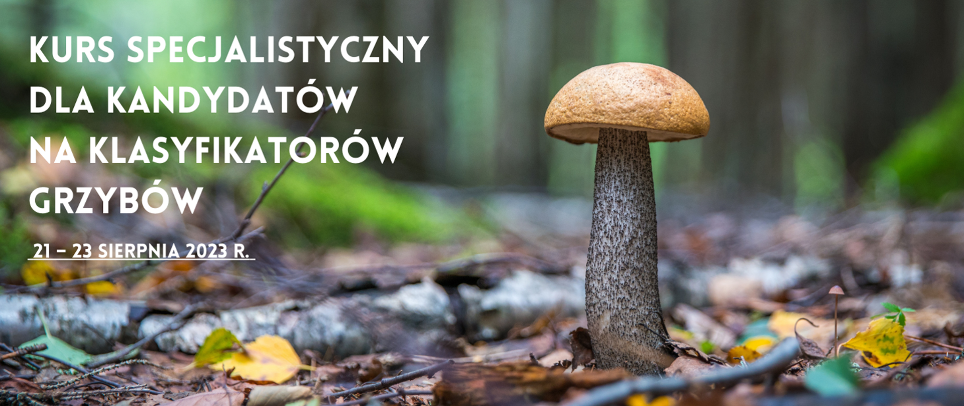 Zdjęcie przedstawia grzyba na tle lasu oraz napis: "Kurs specjalistyczny dla kandydatów na klasyfikatorów grzybów - 21-23 sierpnia 2023r."