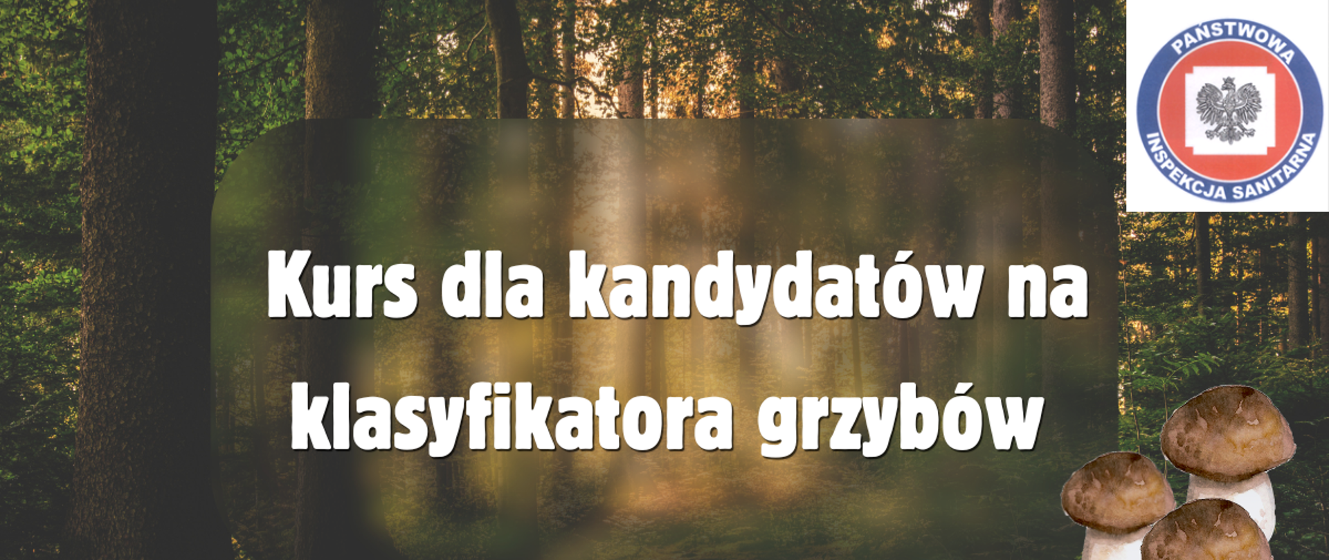 Baner kurs dla kandydatów na klasyfikatora grzybów