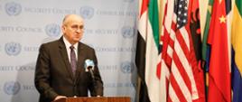 Minister Zbigniew Rau at the UN Security Council