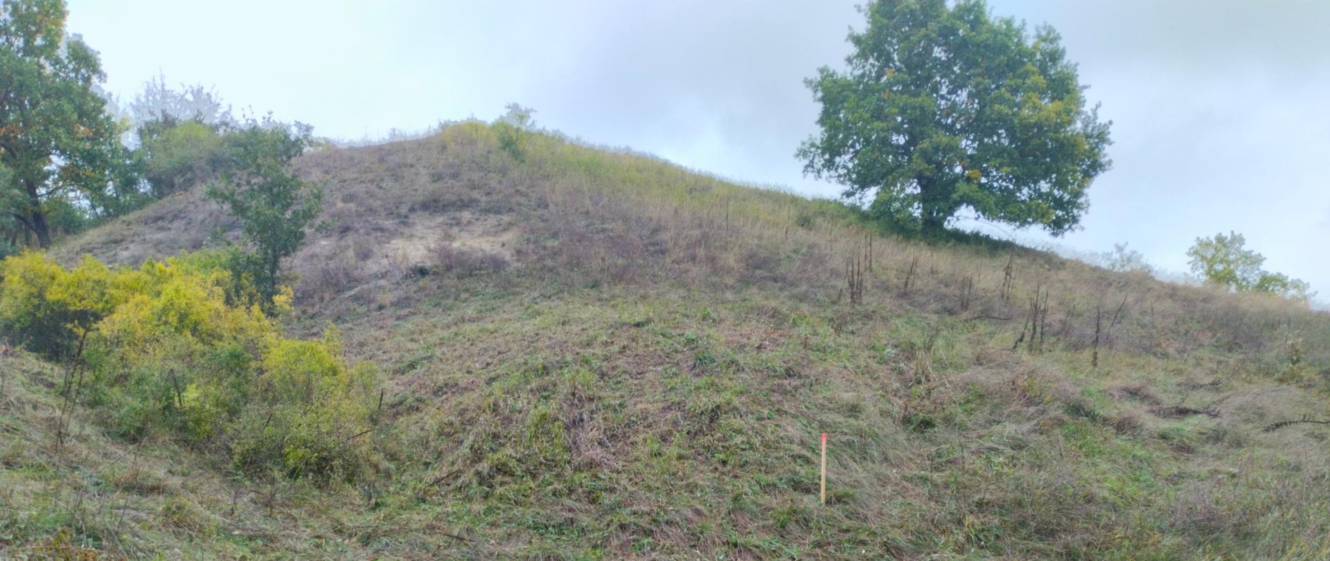 Niewielkie wzniesienie porośnięte trawami. W tle fragment nieba, po prawej stronie drzewo.