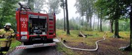 Na zdjęciu widać samochód pożarniczy oraz rozwinięta linia gaśnicza w głąb lasu