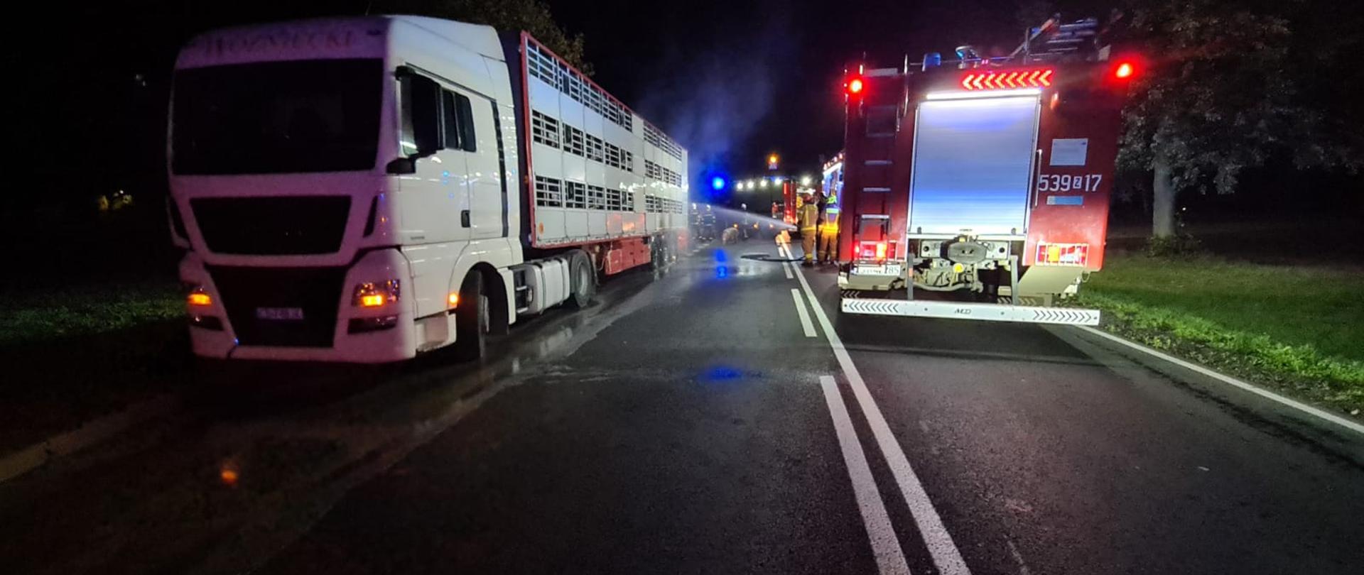po lewej stronie drogi samochód ciężarowy z naczepą do przewozu trzody, po prawej samochód pożarniczy, z którego strażak podaje prąd wody na koło