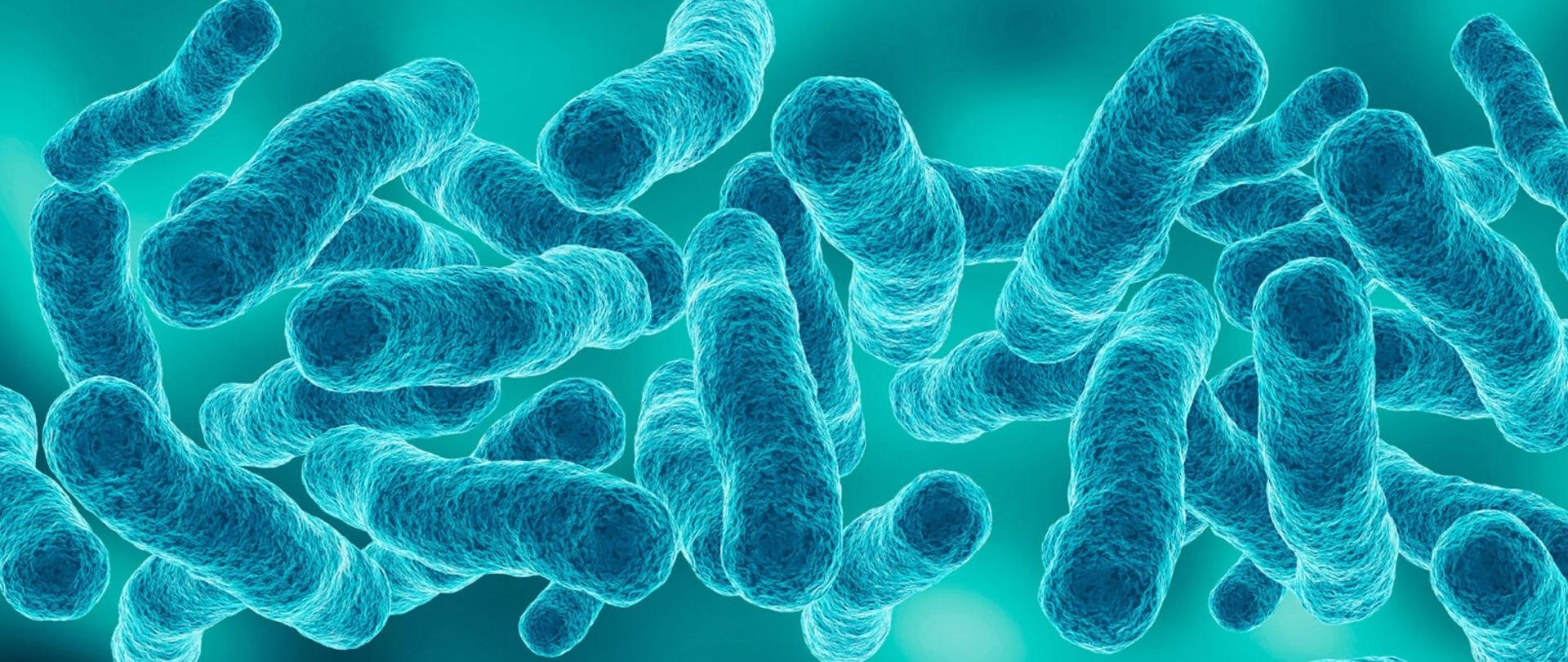 Legionella