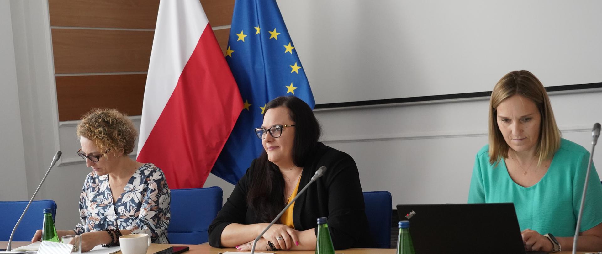 na zdjęciu trzy osoby za stołem konferencyjnym, po środku wiceminister Małgorzata Jarosińska-Jedynak, na drugim planie biały ekran, flaga Polski i Unii Europejskiej