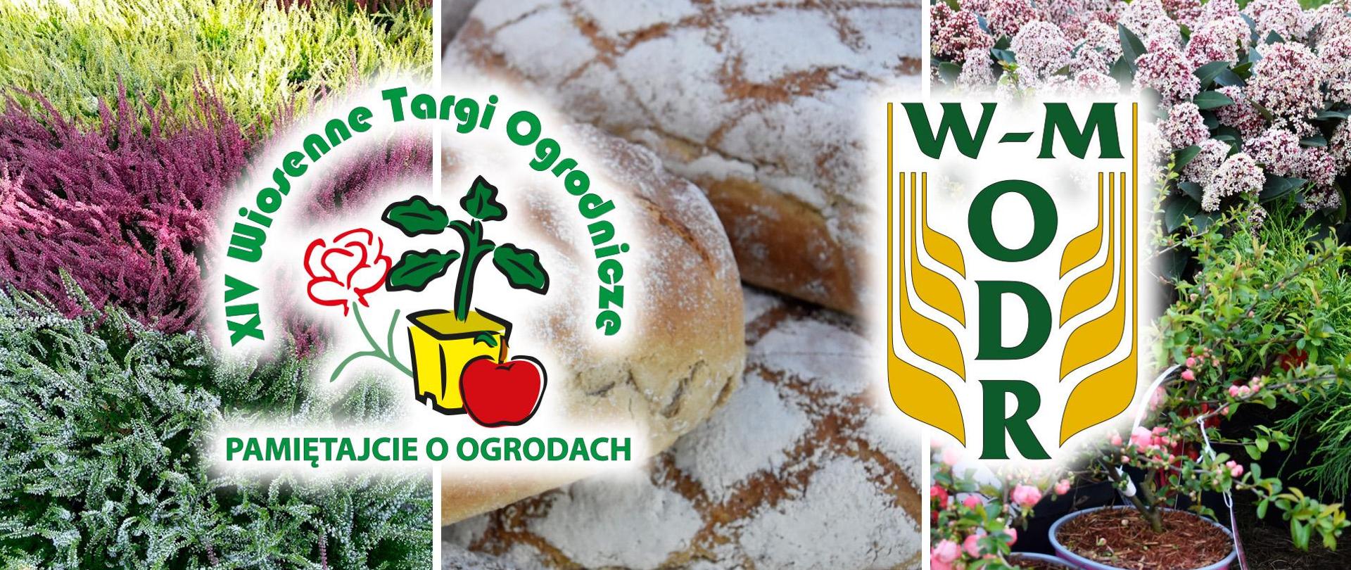 Logo targów i Ośrodka Doradztwa Rolniczego na tle roślin i bochenków chleba 