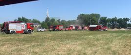 Zdjęcie przedstawia teren ćwiczeń. Na zdjęciu widoczne pojazdy pożarnicze. 