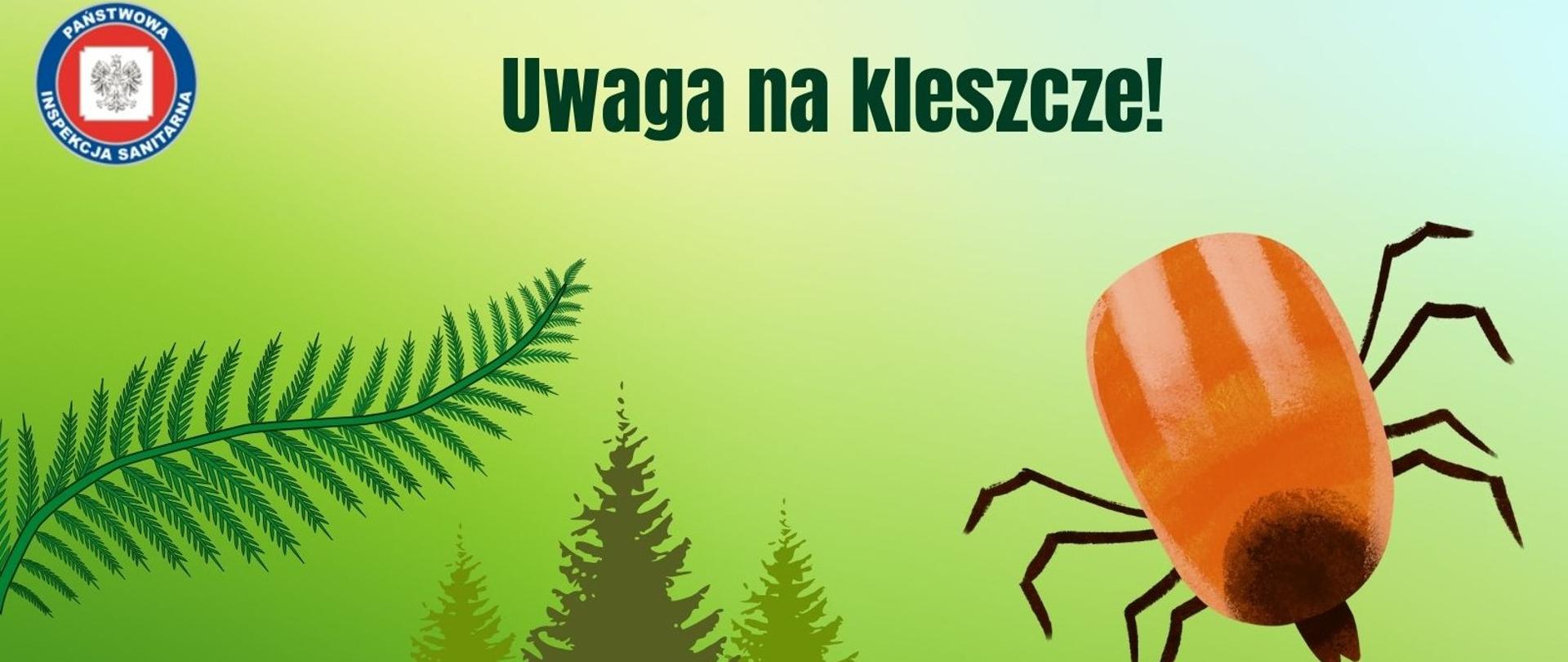 Uwaga na kleszcze!