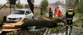 Zdjęcie przedstawia działania strażaków podczas usuwania skutków anomalii pogodowych.