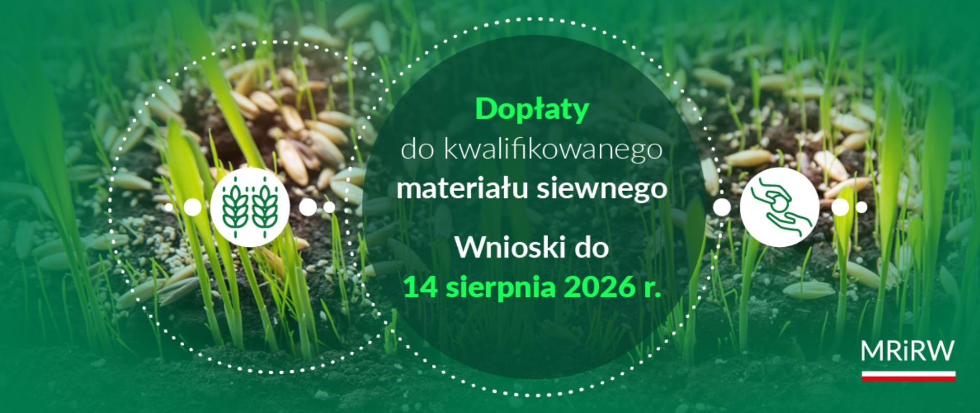 Więcej czasu na złożenie wniosków o dopłaty do kwalifikowanego materiału siewnego