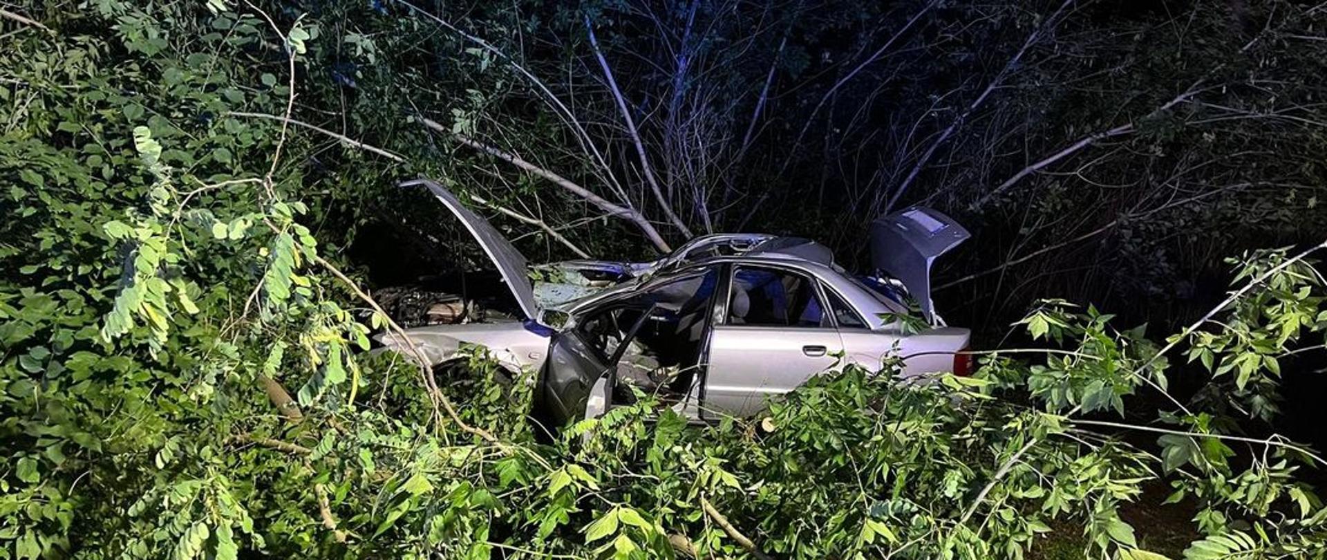 Rozbity samochód osobowy na poboczu między drzewami.