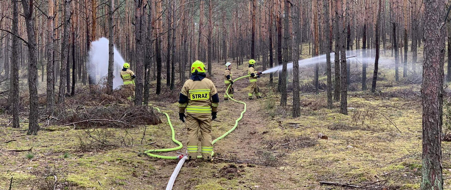 Strażacy z linią gaśnicza w lesie.
