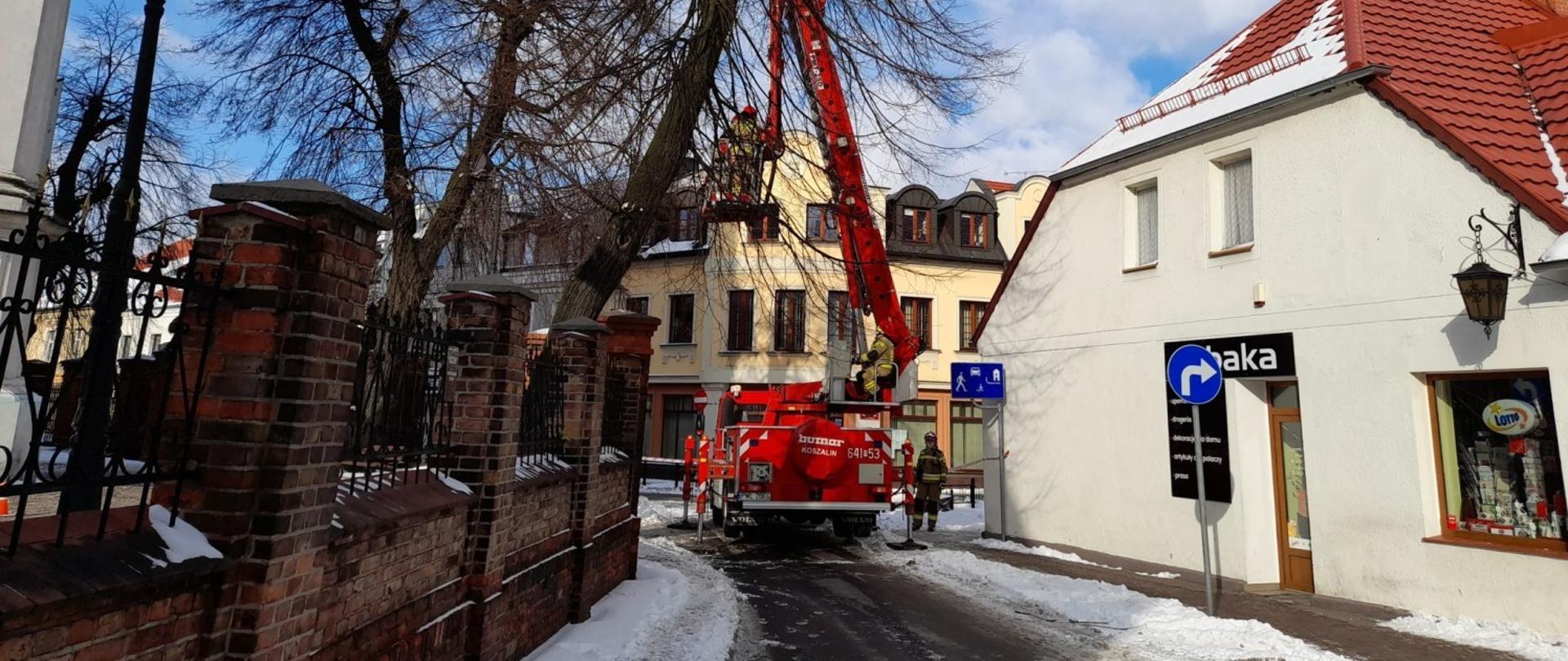 Pochylone drzewo, rozstawiony podnośnik hydrauliczny przygotowany do pracy, droga zablokowana.