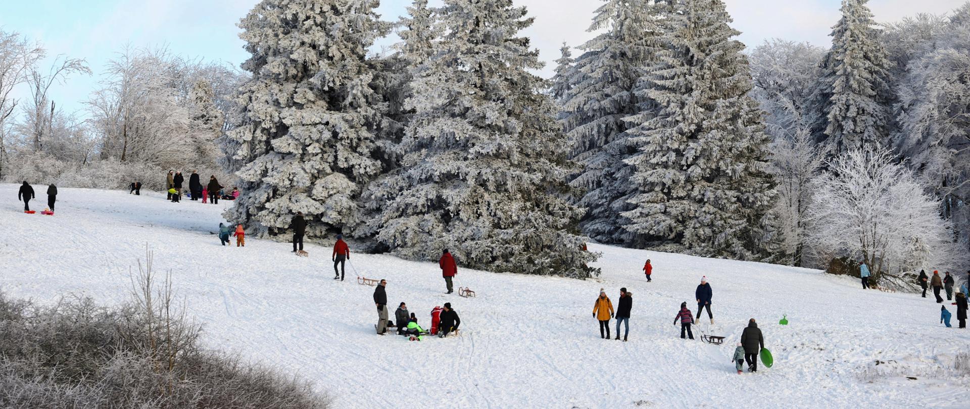 Zdjęcie przedstawiające dzieci zjeżdżające na sankach z górki. Żródło zdjęcia: pexels.com