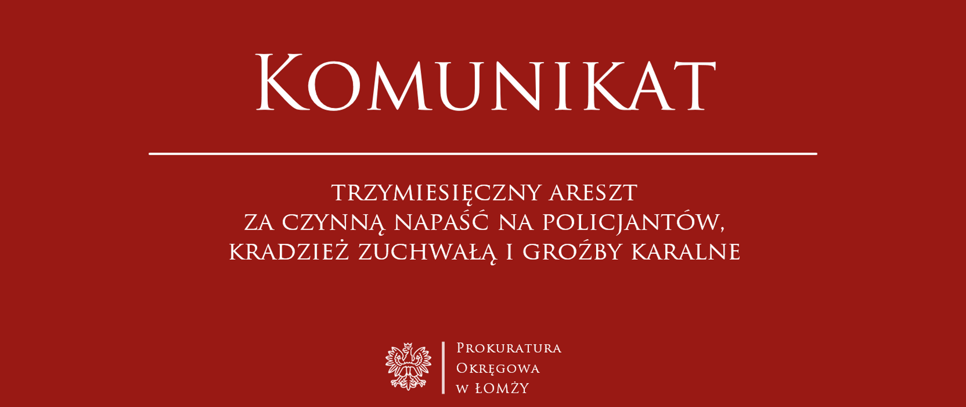 Komunikat trzymiesięczny areszt za czynną napaść na policjantów, kradzież zuchwałą i groźby karalne