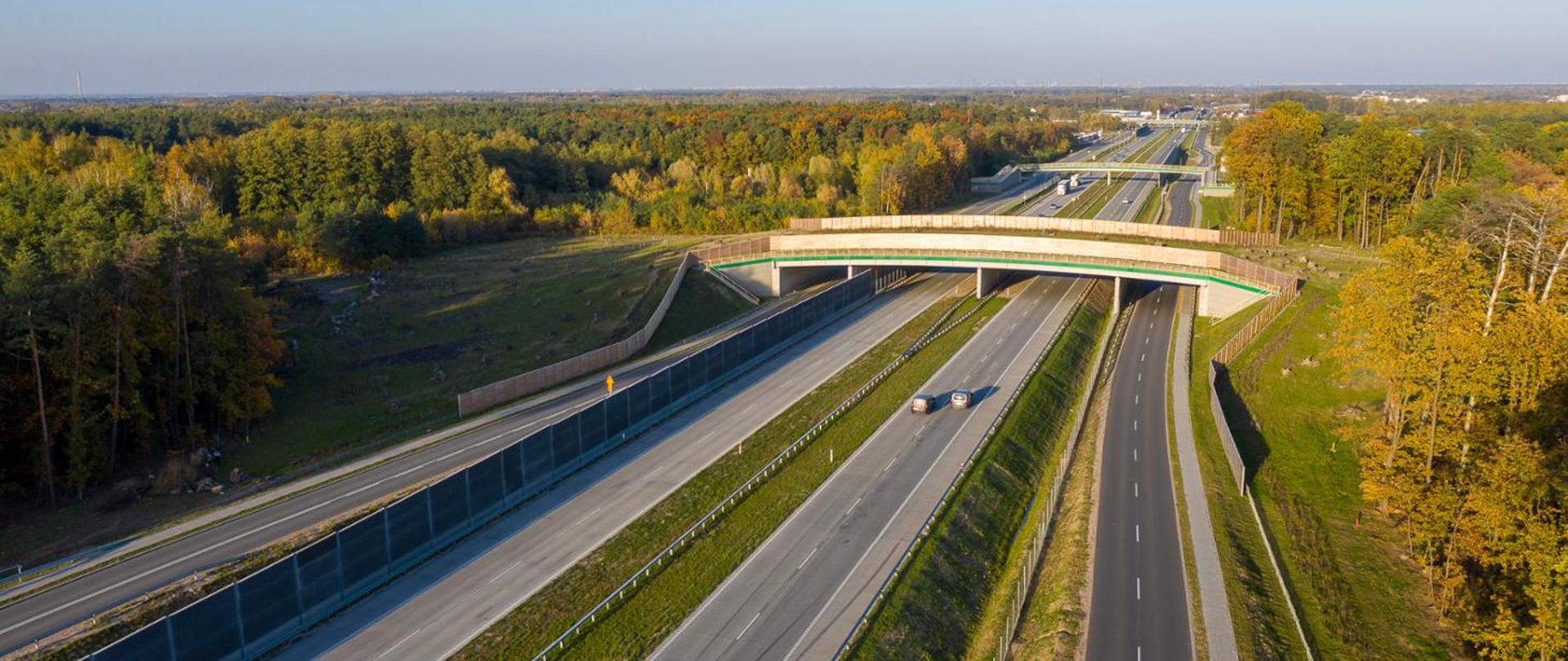 Na zdjęciu widać nowoczesny odcinek drogi ekspresowej w otoczeniu lasu, prawdopodobnie w okresie jesiennym. Jest to dwujezdniowa droga ekspresowa z pasem rozdzielającym, biegnąca przez zalesiony teren. Po obu stronach widoczne są gęste lasy z drzewami w jesiennych barwach – od zieleni po odcienie żółci i pomarańczu.
Na środku zdjęcia znajduje się estakada lub wiadukt nad drogą, z ekranami akustycznymi w kolorze zielonym i brązowym. Pod wiaduktem biegną dwie jezdnie – na lewej widoczne są dwa samochody jadące w tym samym kierunku, prawa jezdnia jest pusta.
Ekrany akustyczne wzdłuż lewej jezdni.
Barierki energochłonne po obu stronach drogi.
Pas zieleni między jezdniami.
Wiadukt z dodatkowym zabezpieczeniem akustycznym.
W oddali widać dalszy odcinek drogi, który rozciąga się w kierunku horyzontu, oraz rozległy las.
Zdjęcie wykonane w słoneczny dzień, z jasnym niebem i wyraźnymi cieniami. Dominują naturalne barwy – zieleń trawy, jesienne kolory drzew, szarość asfaltu.