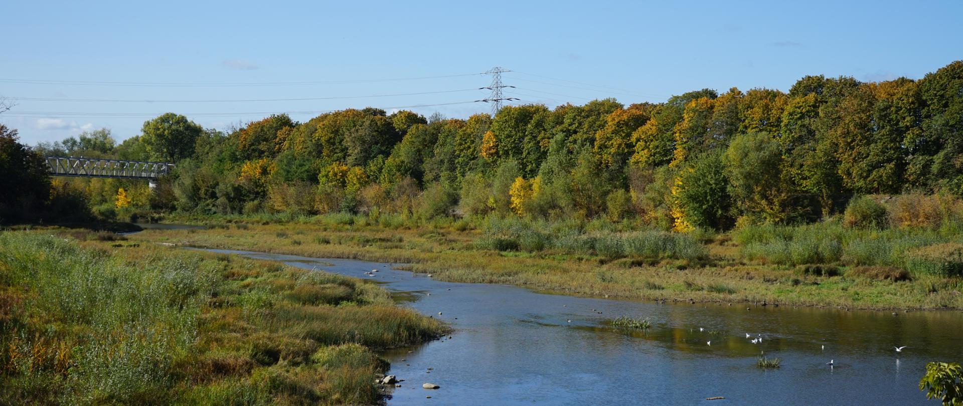 Zimowisko przy Śluzie Żerań