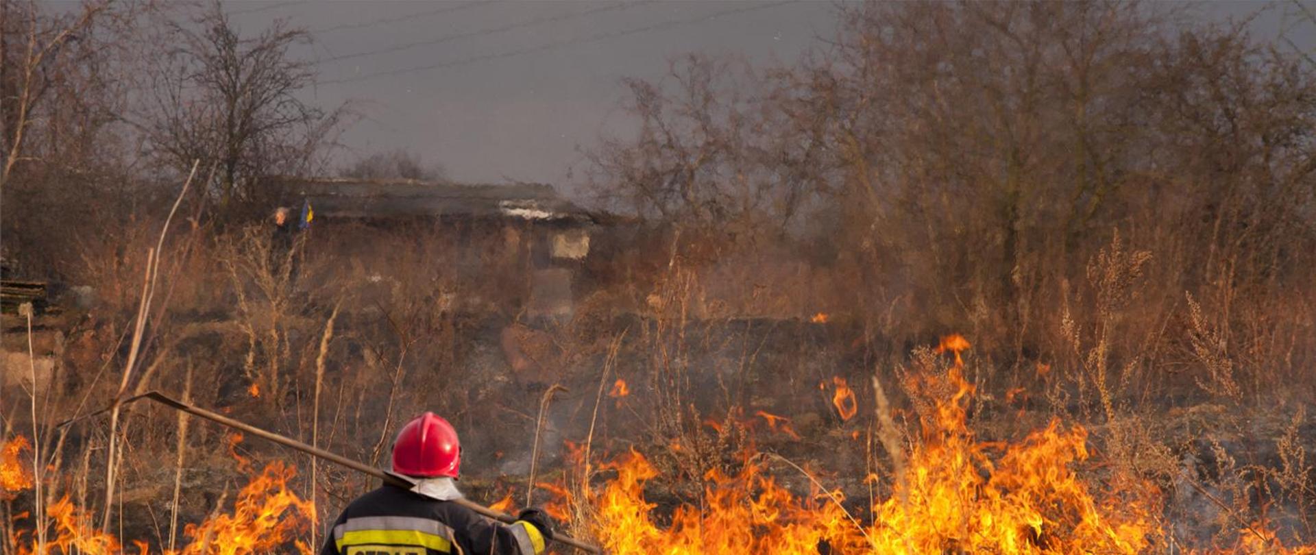 Strażak z tłumicą a w oddali palące się szuwary.