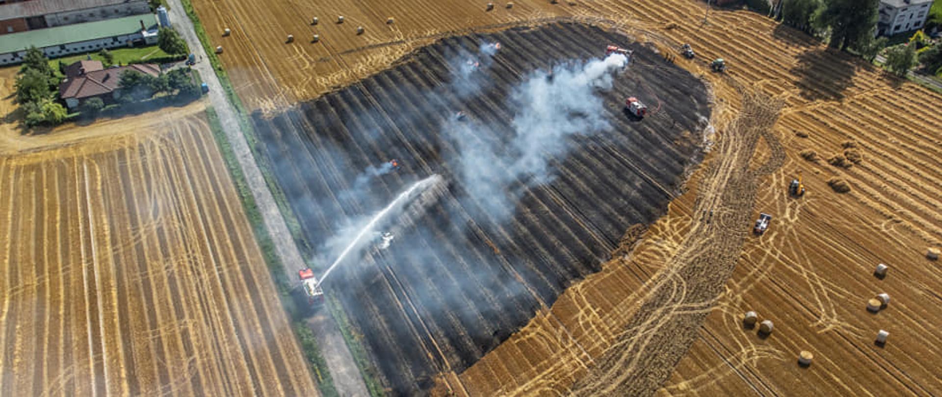 Widok z lotu ptaka. Pali się ściernisko oraz słoma w balotach. Strażacy prowadzą działania prowadząc działania gaśnicze w natarciu z użyciem działek zamontowanych na pojazdach. Właściciel pola wykonuje pasy ochronne celem ograniczenia rozprzestrzeniania się ognia. Na miejscu również ładowarka teleskopowa celem przetransportowania słomy na bezpieczną odległość