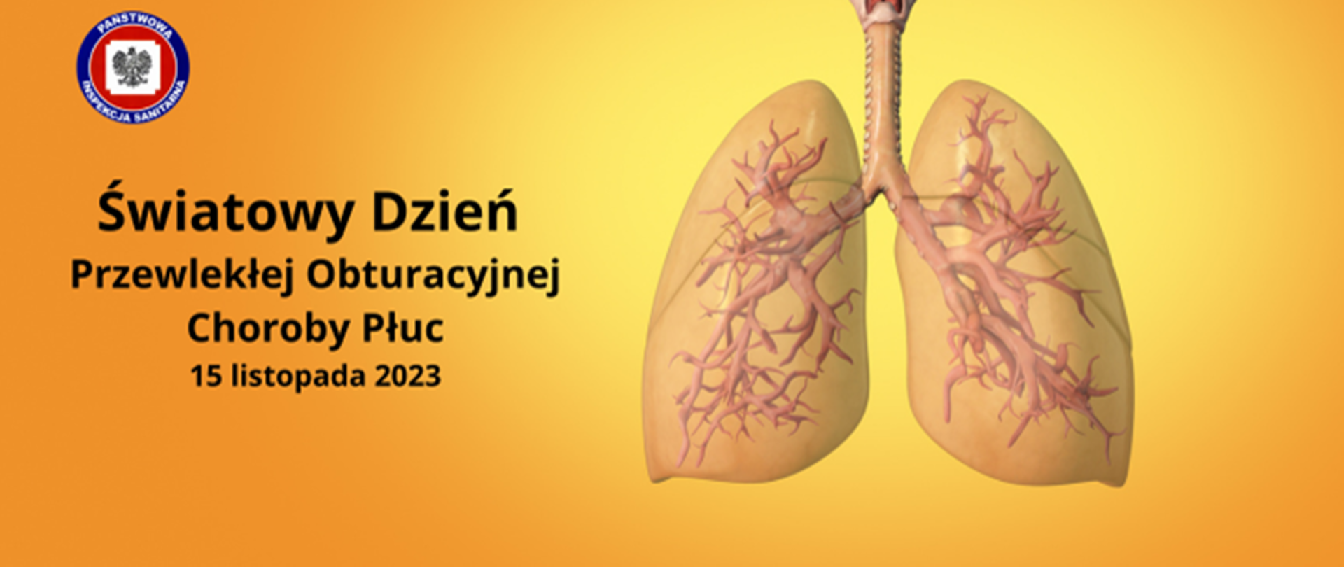 Światowy Dzień Przewlekłej Obstrukcyjnej Choroby Płuc