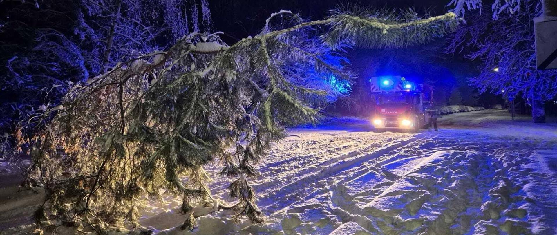 Drzewo iglaste leżące na ośnieżonej drodze biegnącej przez las. Na drugim planie czerwony samochód strażacki z niebieskimi światłami. Jest noc. 