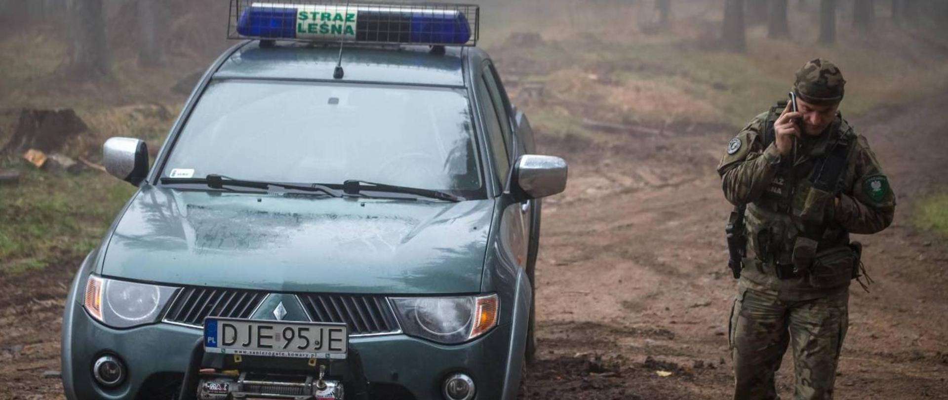 Stroisz pod kontrolą. Straż Leśna rusza z jesienną akcją