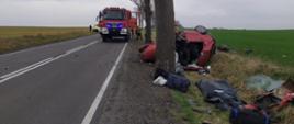 Zdjęcie przedstawia samochody strażackie na drodze wojewódzkiej nr 178 i samochód osobowy po uderzeniu w drzewo