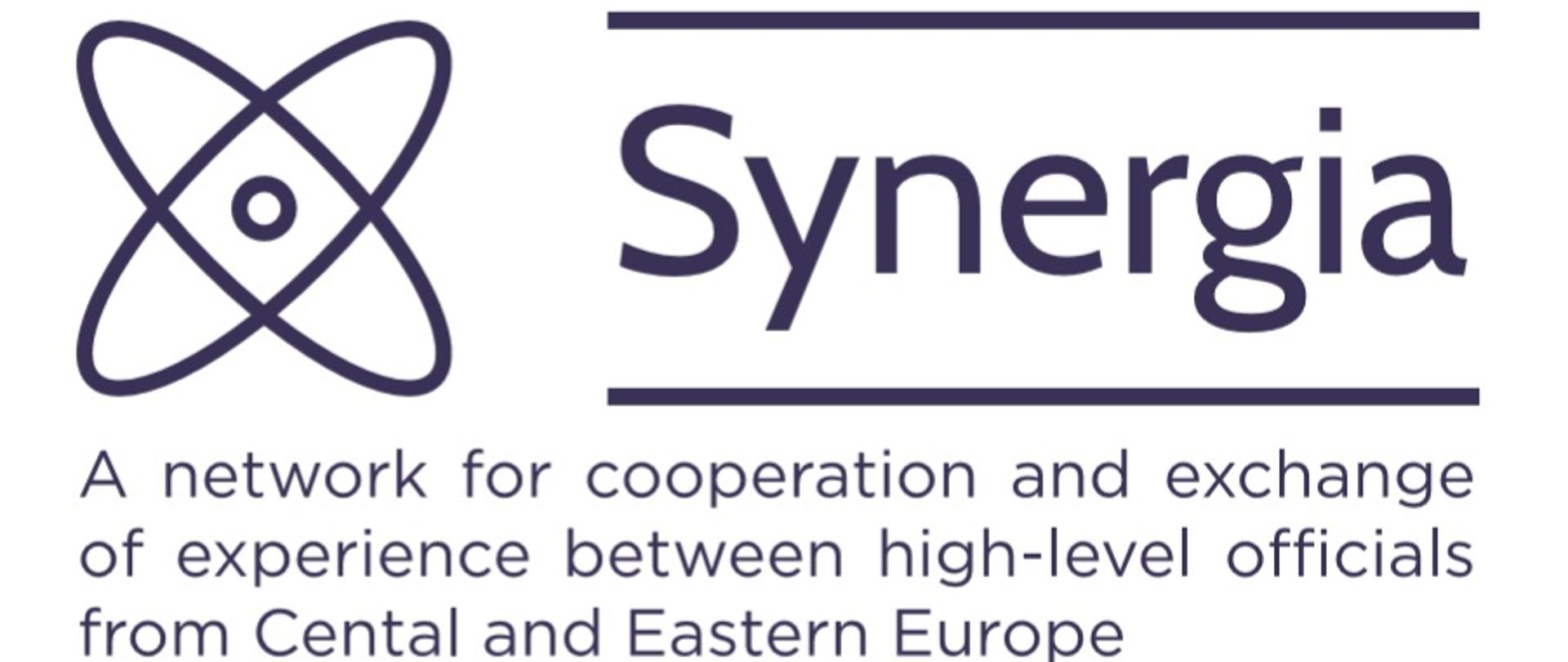 I edycja projektu Synergia