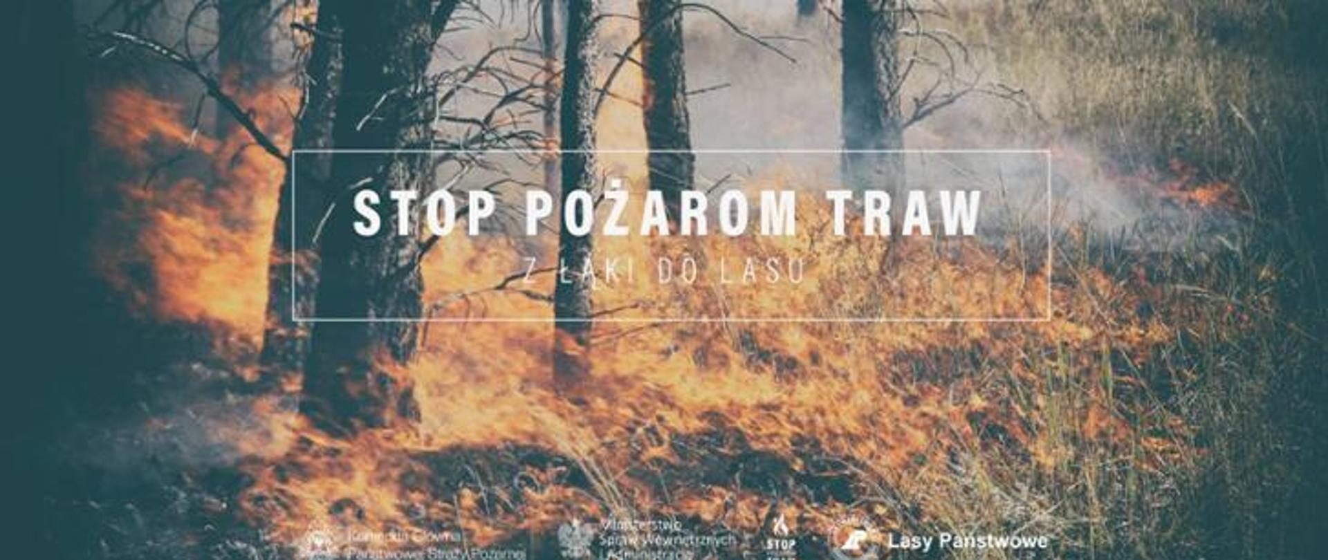 Zdjęcie przedstawia pożar tar i lasu