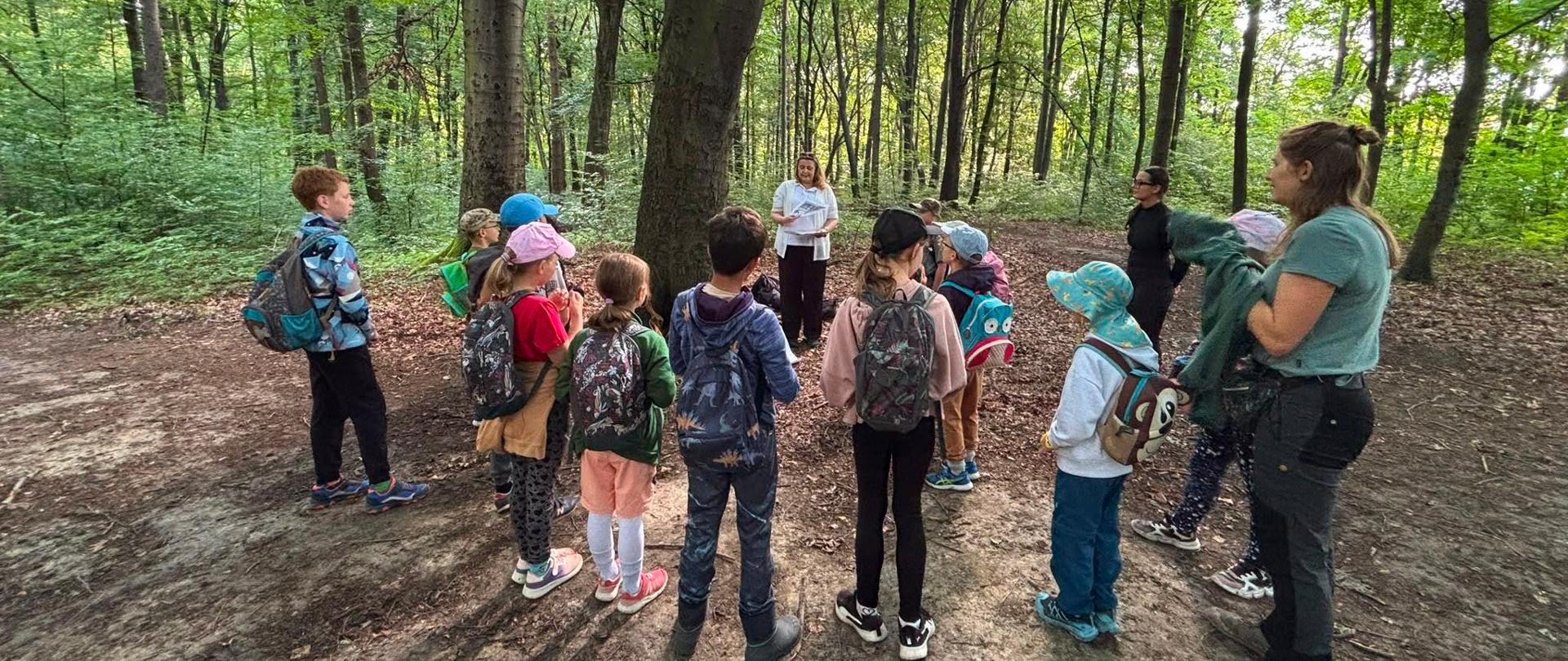 Zajęcia edukacyjne w ramach Dzikie Wędrowanie w miechowickim lesie w Bytomiu