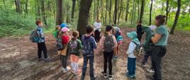 Zajęcia edukacyjne w ramach Dzikie Wędrowanie w miechowickim lesie w Bytomiu