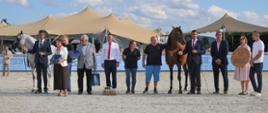 Michałów Stud – Best European Breeder