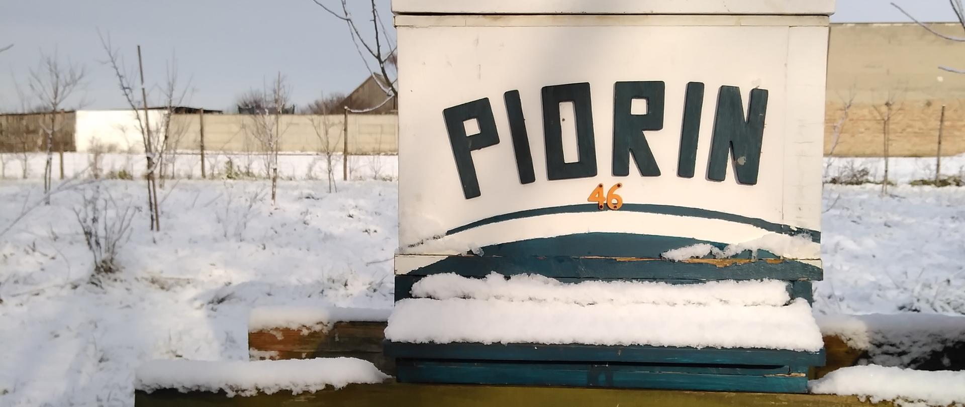 Przygotowanie do zimy u Piorinków