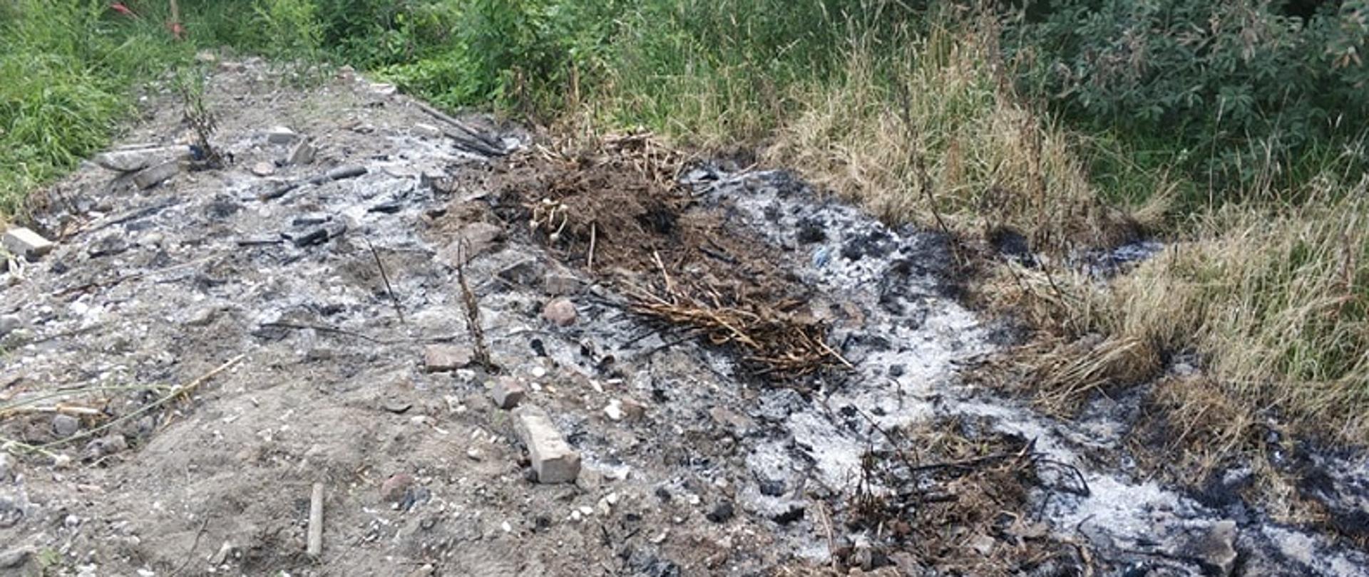 Zdjęcie przedstawia wypaloną ziemię po pożarze skoszonej trawy