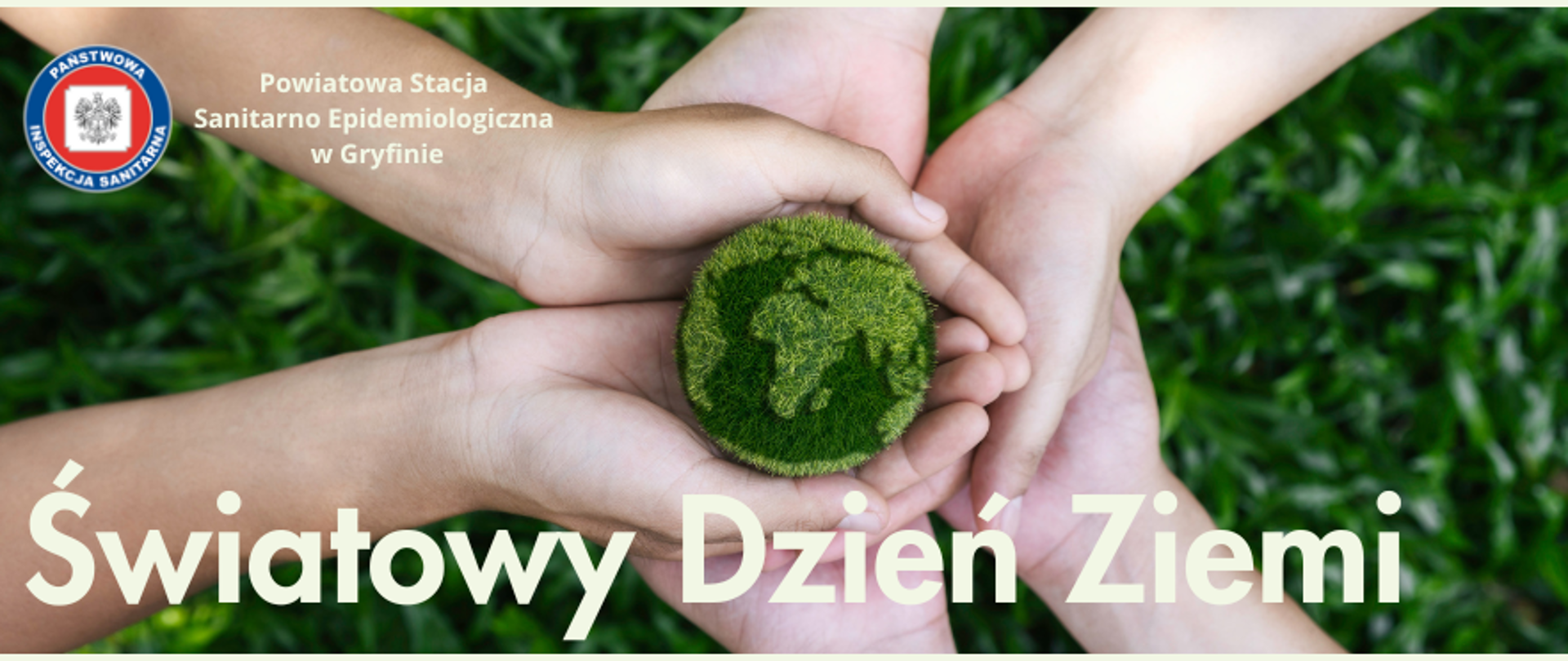 Dłonie trzymające kulę ziemska wykonana z trawy