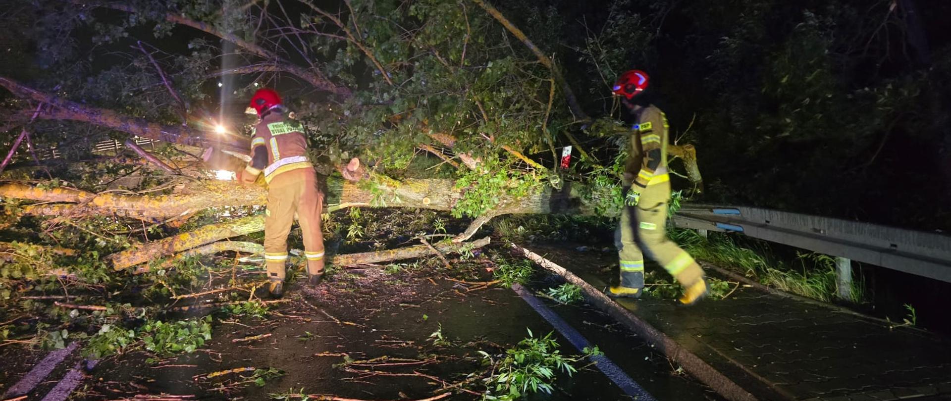 Powalone drzewa na drogach