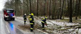 widoczne miejsce zdarzenia ze szkodami wiatrowymi oraz służby usuwające zagrożenie