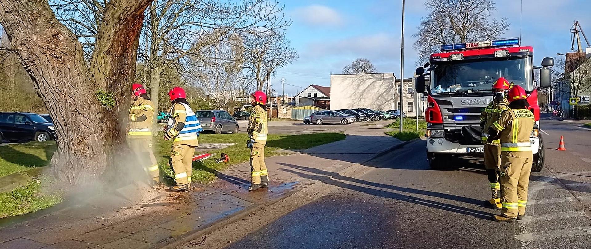 Dwa zastępy JRG 2 gaszą płonące przy ul. Barlickiego drzewo