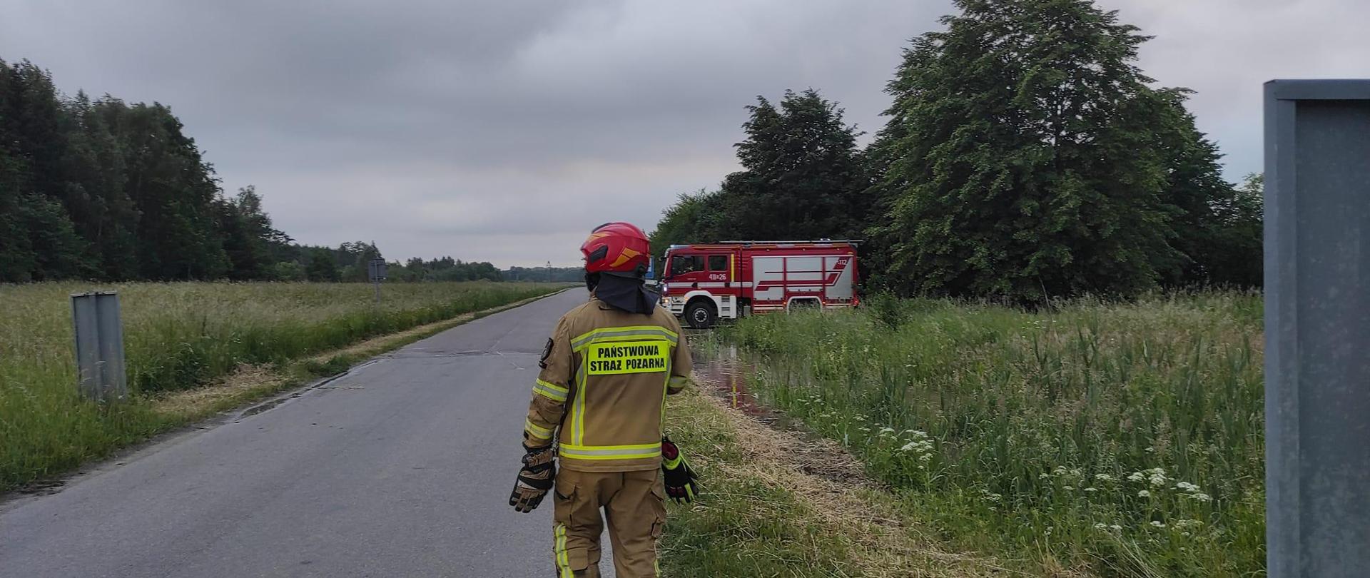 Strażak w jasnym mundurze bojowym i czerwonym hełmie stoi na drodze. Daleko z prawej strony stoi czerwony samochód strażacki. Zielone pobocza drogi. Pochmurno.