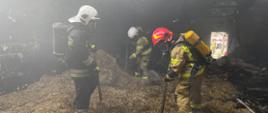 trzech strażaków ubranych w ubrania specjalne pracuje w sprzęcie ochrony dróg oddechowych we wnętrzu spalonego kurnika gdzie przegarniają słomę widłami