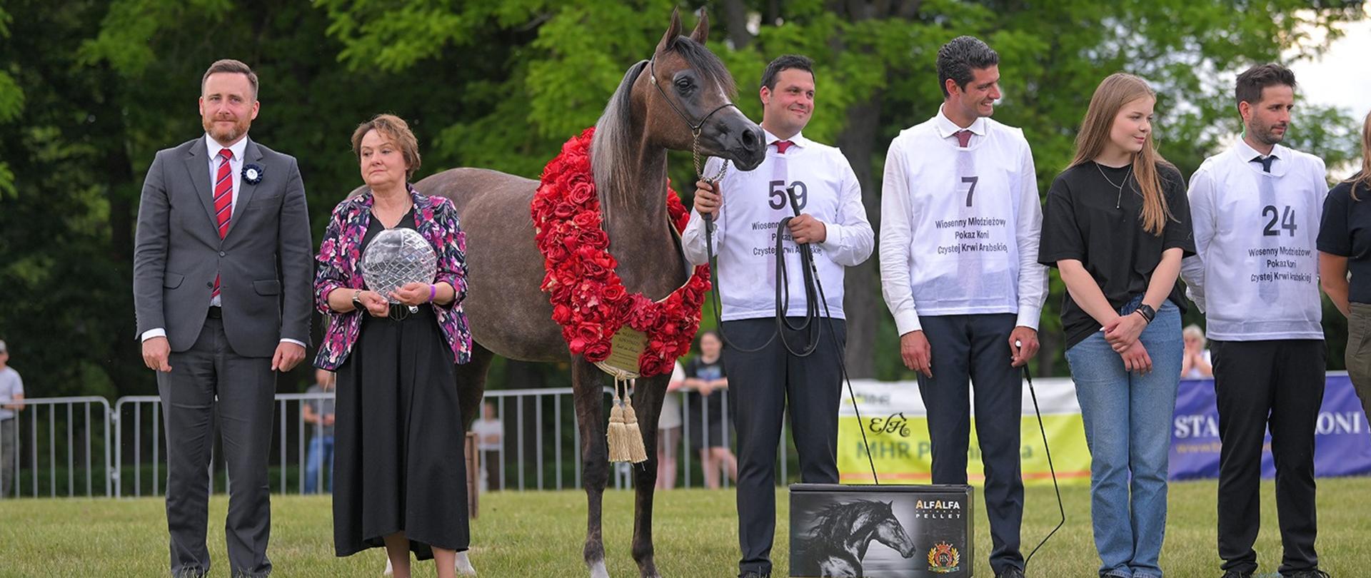 Tytuł Najlepszego Konia Pokazu „Best in Show” w tym roku podczas pokazu w Białce otrzymała Epiforana ze Stadniny Koni Michałów. Fot. Ewa Imielska-Hebda