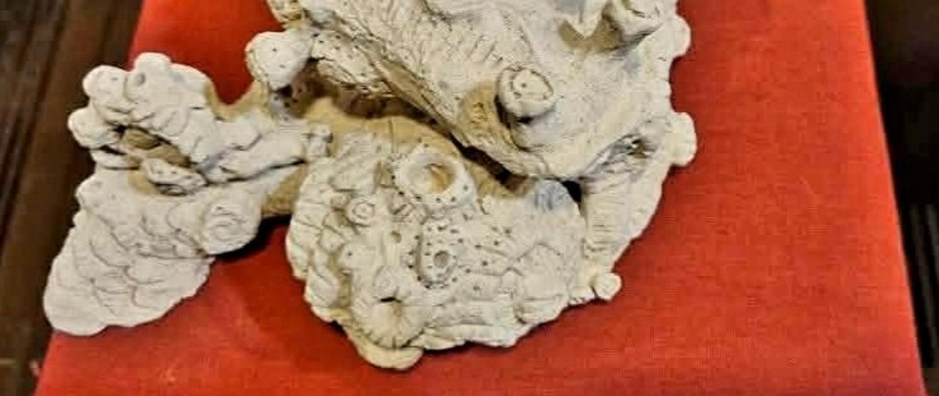 Rzeźba autorstwa uczennicy klasy II Państwowego Liceum Sztuk Plastycznych im. Wojciecha Kossaka w Łomży Poli Szymańskiej.