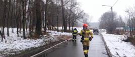 Zdjęcie na pierwszym planie przedstawia strażaka ubranego w ubranie specjalne koloru piaskowego, na drugim planie strażacy ubrani ubrania specjalne kolory granatowego podczas ćwiczeń gaszenia pożaru lasu