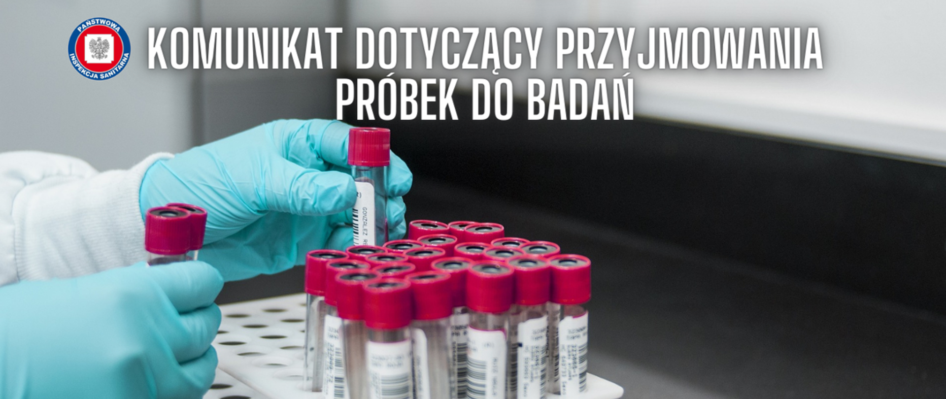 Próbki do badań