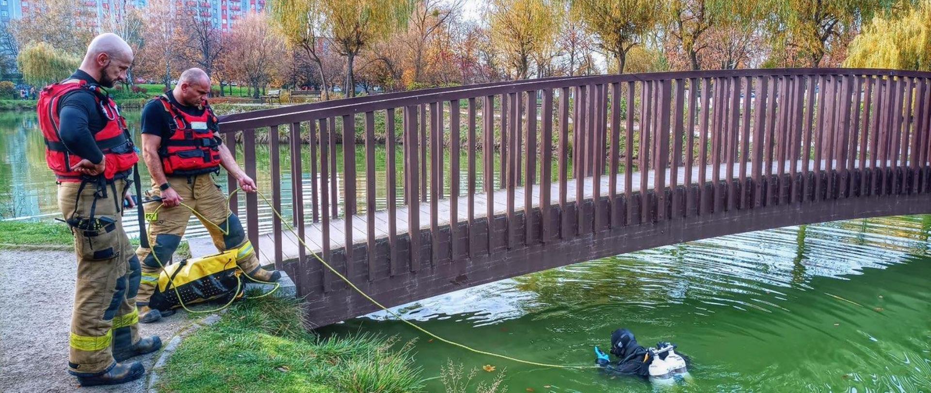 Działania SGRWN w stawie