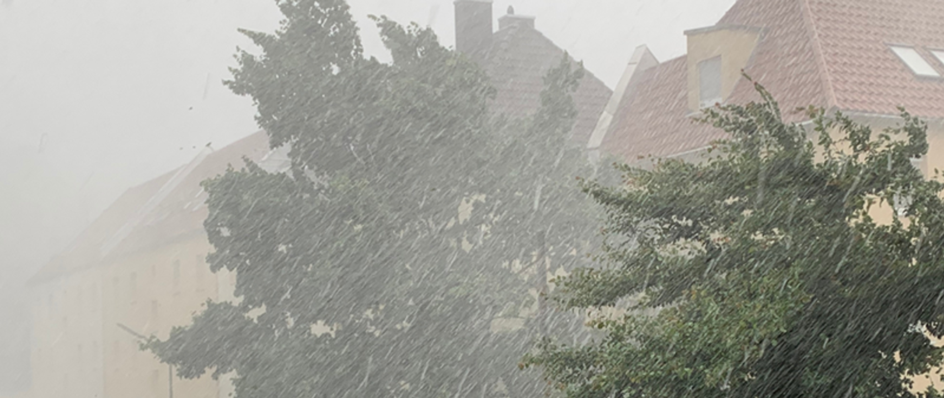 ulewny deszcz w tle zielone uginające się drzewa i budynki