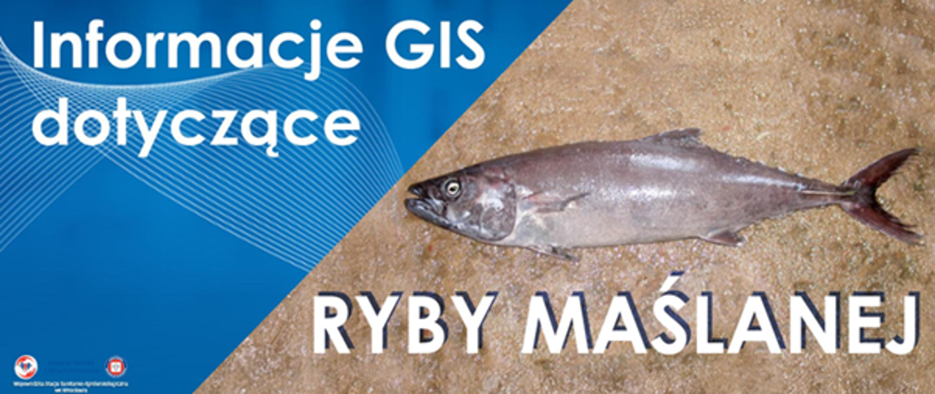 Ryba maślana - thumbnail