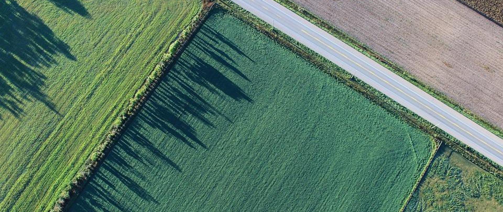 Pola, droga, granice widziane z lotu ptaka